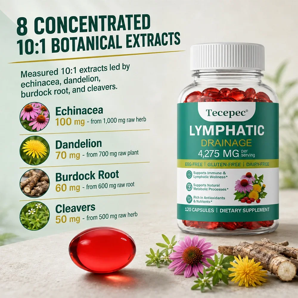 Лимфодренаж – поддержка лимфат – обзор и цена Echinacea